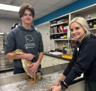 Find Your Start in Youth Farming Image